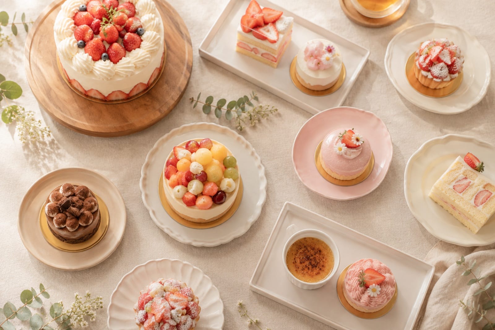 每日出品